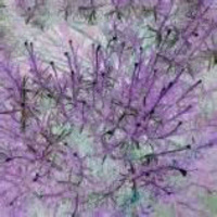 Night-Light with Barbara DeLong and the Let-R-Rip readings