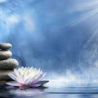 The First Sword Draw on The Dreams that Shape Us