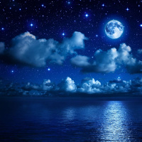 Love, Loss and Everlasting Life on The Dreams That Shape Us