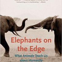 What Animals Teach About Us Re: Humanity- Gay Bradshaw, Host Dr. Zoh Hieronimus