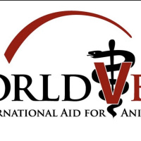 Rescuing Animals Worldwide with Kyle Baird and Host Dr. Zohara Hieronimus