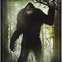 Bigfoot Nation w/David Hatcher Childress – Host Dr. Bob Hieronimus