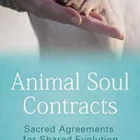 Sacred Connection Between Pets and Humans with Tammy Billups and Zoh Hieronimus