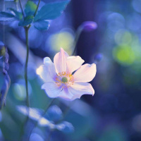 Night-Light with Ray Boker