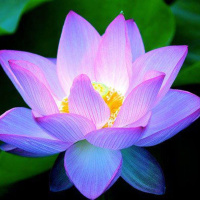 Night-Light with guest Medium Renee Richards