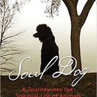 Soul Dog, Spiritual Life of Animals w/Elena Mannes, Host Dr. Zohara Hieronimus