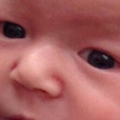 Sound Curiosity Network