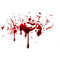 Blood Shed for Sin – The Atonement