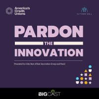 Pardon the Innovation