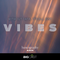 Without Data, It’s All Just Vibes