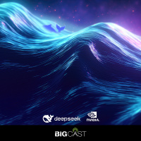 Where Do the Chips Fall After DeepSeek?