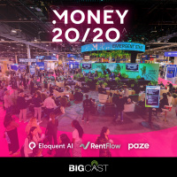 Agents, Stablecoins, and a Touch of Friction