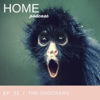 Episode 22: The Shockers