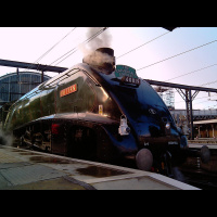 A ride on the footplate of Bittern on The Silver Jubilee