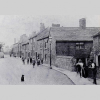 Sylvia Cowling - Drink To Me Only