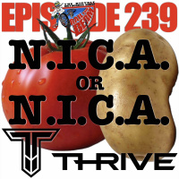 Episode 239: You Say N.I.C.A. I Say N.I.C.A.