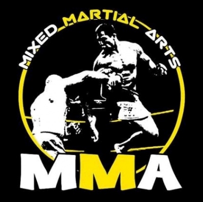 Mma Ppv Reviews (mainly Ufc)