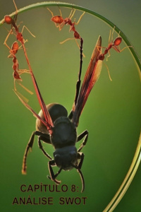 CAPÍTULO 8 - ANÁLISE SWOT