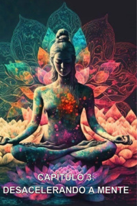CAPÍTULO 3 - DESACELERANDO A MENTE