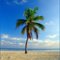 Season 2 Episode 23: We Get Knocked Down...