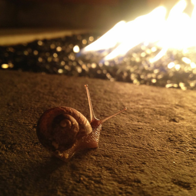 Time Travelers Podcast - We Time Travel