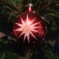 Its the thought that counts - Altruism. Christmas Special 2016