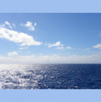 Episode 21 - Previewing Royal Caribbeans 2014