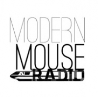 Modern Mouse Radio #55: Tips for Maximizing Your Time in the Parks