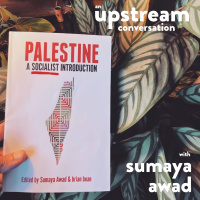 [BONUS] Palestine Pt. 1 with Sumaya Awad