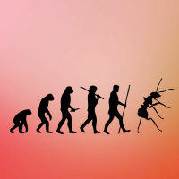 Lisi Krall - How Agriculture Turned Humanity into a Superorganism (In Conversation)