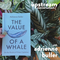 The Value of a Whale with Adrienne Buller (In Conversation)
