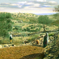 [TEASER] Palestine Pt. 9: Palestine 2031 w/ Nadia Zanghari