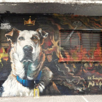 Sneak Peak: Loukanikos the Riot Dog (Yianni Litovchenko)