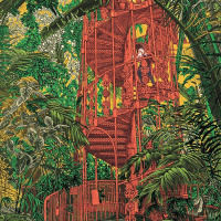 How to Fall in Love with the Future w/ Rob Hopkins