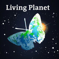 Greener Living Ep 1 – Should we all ditch our cars for EVs?