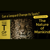 Can a Leopard Change its Spots?