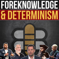 Can God Foreknow Anything He Hasnt Himself Determined?