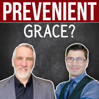 Prevenient Grace with David Pallmann