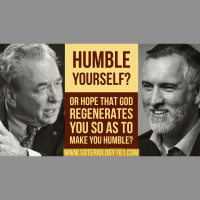 Calvinisms Conflation