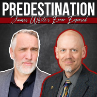Why Calvinistic Predestination Isnt Biblical