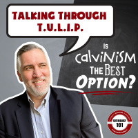 Talking Through TULIP: Is Calvinism the Best Option?