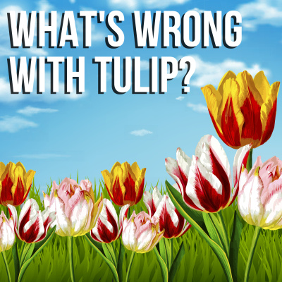 Soteriology 101: Former Calvinistic Professor Discusses Doctrines Of Salvation