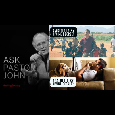 Soteriology 101: Former Calvinistic Professor Discusses Doctrines Of Salvation