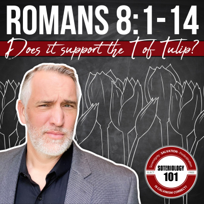 Soteriology 101: Former Calvinistic Professor Discusses Doctrines Of Salvation