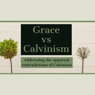 Soteriology 101: Former Calvinistic Professor Discusses Doctrines Of Salvation