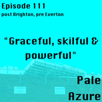 Episode 111: post Brighton pre Everton Graceful, skilful  powerful