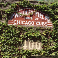 Bricks And Ivy Episode 1