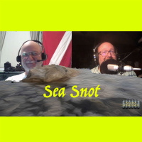 498 - Just a Little Sea Snot