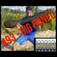 493 - Big Boned