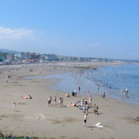 One Mile Long - Bray Seafront Remembered (2019)
